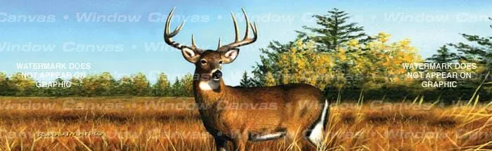 November Buck Rear Window Decal
